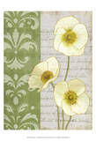 White Poppies Print by matt patterson