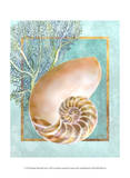Lori Schory - Nautilus Shell and Coral Plakát