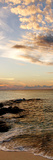 Bimini Afternoon II Poster by Susan Bryant