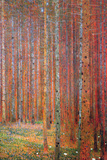 Tannenwald Affiches par Gustav Klimt