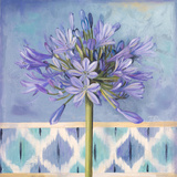 Lily of the Nile I Kunstdrucke von Patricia Pinto