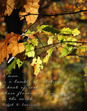 Bundle of Relations Prints by Kathy Mansfield