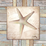 Beach Shell IV Art by Elizabeth Medley