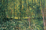 Bäume und Unterholz, ca. 1887 Poster von Vincent van Gogh