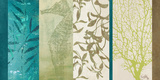 Aquatic Bliss II Posters por Elizabeth Medley Aquatic Bliss II Posters por Elizabeth Medley