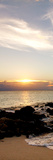 Bimini Afternoon I Prints by Susan Bryant
