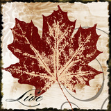 Live Leaf Kunstdrucke von John Spaeth