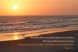 Sunrise II Art by Kathy Mansfield