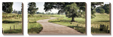 Path to a Perfect Place Posters by Todd McPhetridge