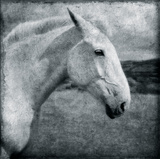 Knight's Steed Giclee Print by Pete Kelly