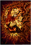 Fire Tiger Prints by Tom Wood