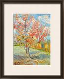 Peach Tree in Bloom at Arles, c.1888 Framed Giclee Print by Vincent van Gogh