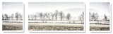 Winter Silence Prints by Todd McPhetridge