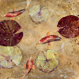 Go Fish I Giclee Print by Angellini 