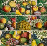 Composition of Fruits Giclee Print by Robert Furber