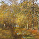 Autumn Time Giclee Print by Clive Madgwick