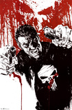 The Punisher - Pistols Posters