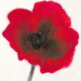 Poppy Giclee Print by Emma Forrester