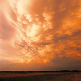 Gathering Storm II Giclee Print by Adam Brock
