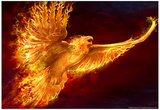Phoenix Rising Print by Tom Wood