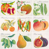 Summer Bounty Giclee Print by Jennifer Abbott
