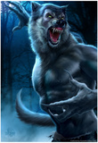 Werewolf Photo by Tom Wood
