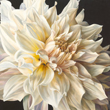White Light Giclee Print by Sarah Caswell