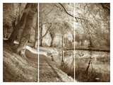 Secret Pool Giclee Print by Bill Philip