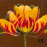 Hana II Giclee Print by Douglas 