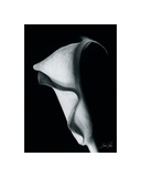 bruce rae photography