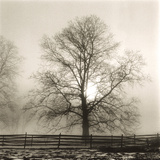 Winter Mist Giclee Print by Michael Kahn