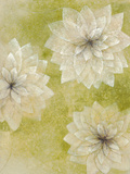 Dahlia Dream I Giclee Print by Emma Forrester