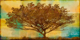 Autumn Radiance Giclee Print by Mark Chandon