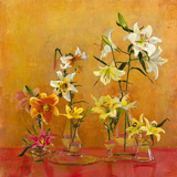 Lilies In Vases I Giclee Print by Danson 