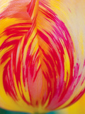 Radiant Yellow Tulip Giclee Print by Ella Lancaster