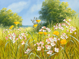 Cuckoo Flowers Giclee Print by Mary Dipnall