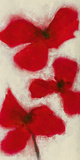 Flaming Blooms II Giclee Print by Emma Forrester