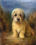 A Dandie Dinmont Giclee Print by Lilian Cheviot