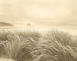 Dune Breeze Giclee Print by Adam Brock
