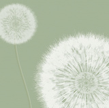 Gossamer Breeze III Giclee Print by Lucy Meadows