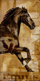 Caballus II Giclee Print by Mark Chandon
