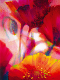 Amid Poppies II Giclee Print by Nick Vivian