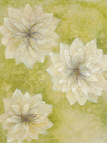 Dahlia Dream II Giclee Print by Emma Forrester