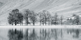 Mountain Lake With Tree Giclee Print by John Harper