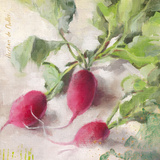 Radis I Prints by Emmanuelle Mertian de Muller