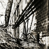 Corner of a Wall with a Tree and Shadows Photographic Print by Katrin Adam