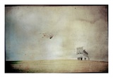 Soaring Photographic Print by Mia Friedrich