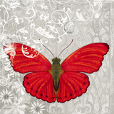 Red Butterfly I Poster by Alan Hopfensperger
