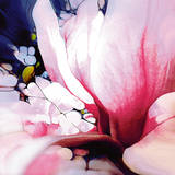 Magnolie Affiches par Renate M. Schmidt