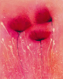 Poppy Blaze I Giclee Print by Emma Forrester